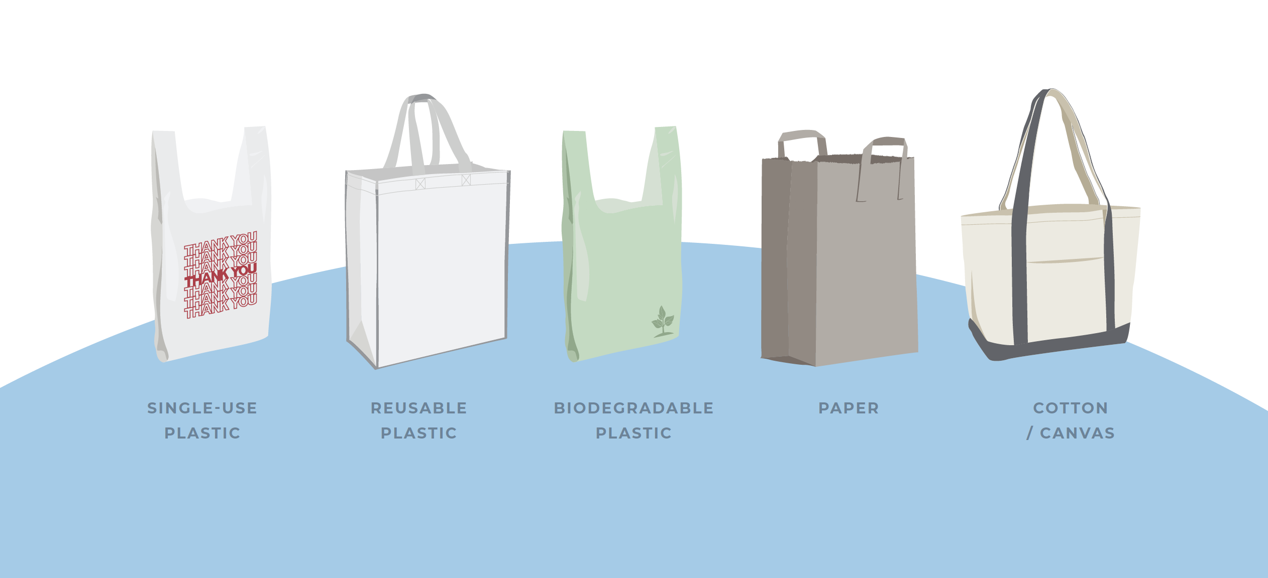 Eco Poly Bags - Case Study